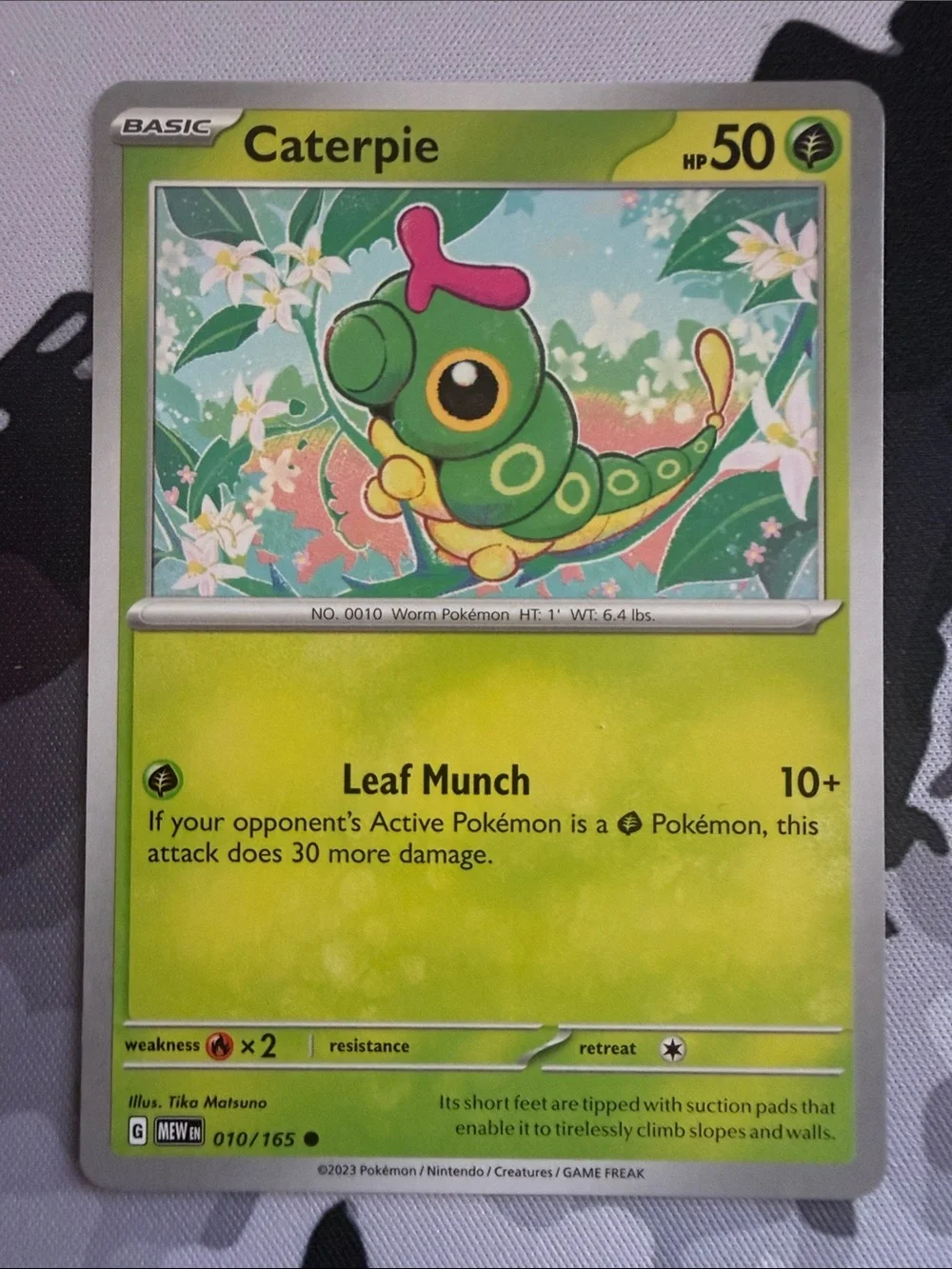 Caterpie & Metapod Evolution Collection Lot | 3 Pokémon Cards | ✨5/$25✨